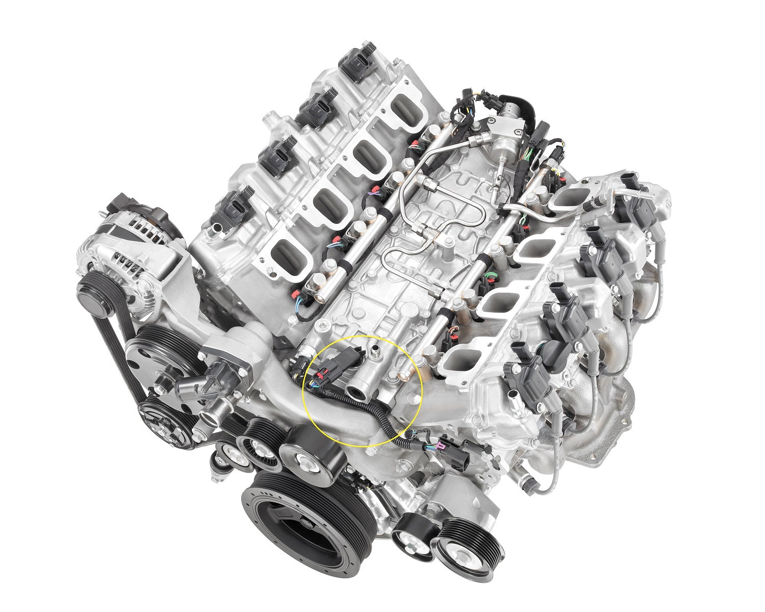 CTS-V3 Camaro 6ZL1 Wild